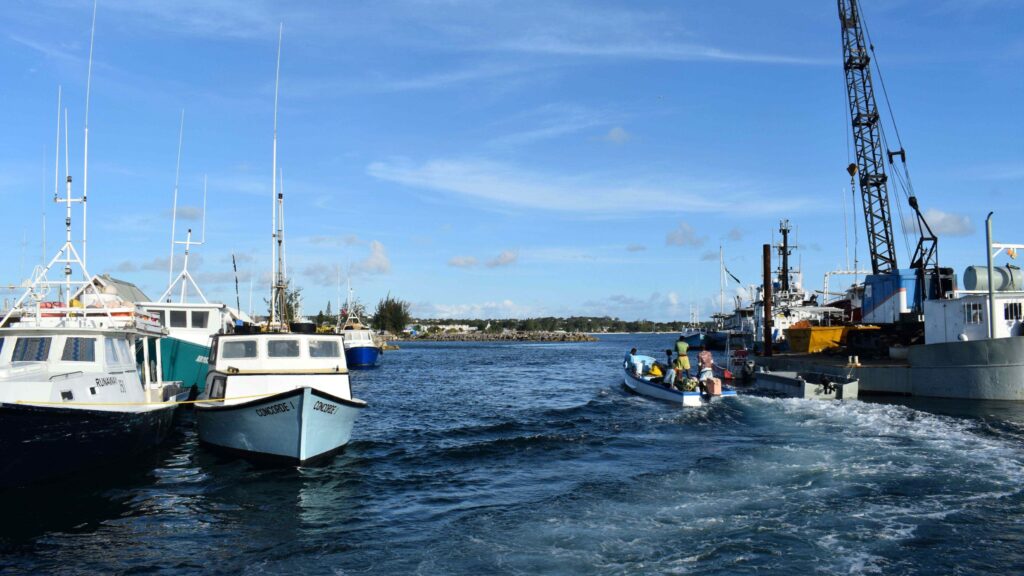 Photo of boats in the ocean near to the shore