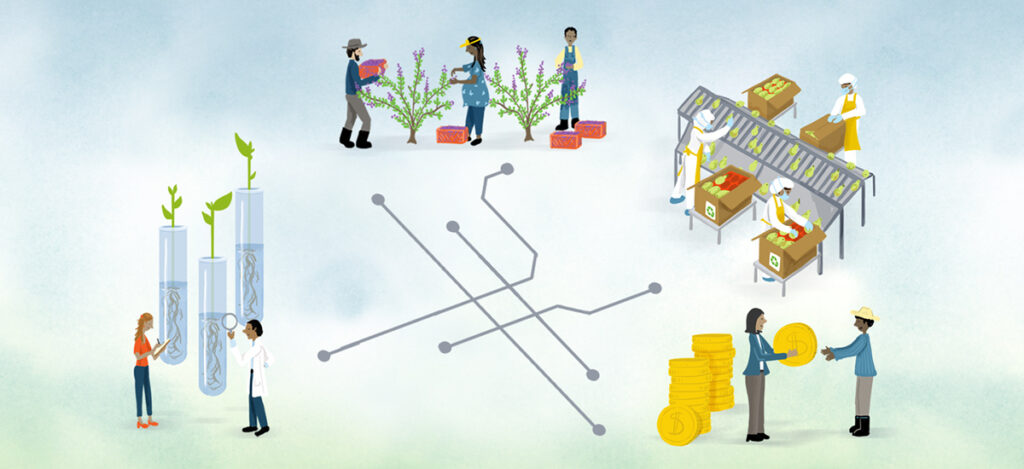 Agroindustria cadenas de valor integración mercados internacionales América Latina Caribe